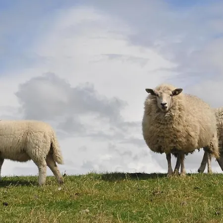 Apartmenthaus Am Watt *